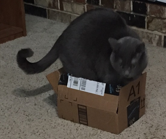 IF IT FITS IT SITS