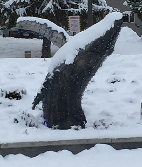 Whale in Winter