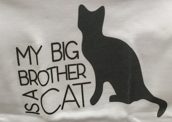 My Big Brother is a Cat